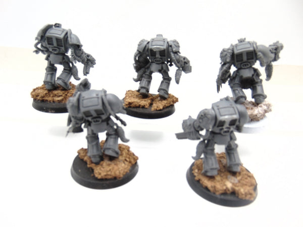 Wolf Guard Terminators