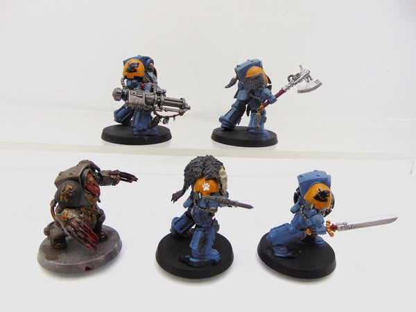 Wolf Guard Terminators