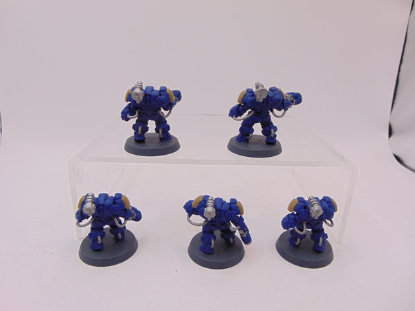 Einhyr Hearthguard