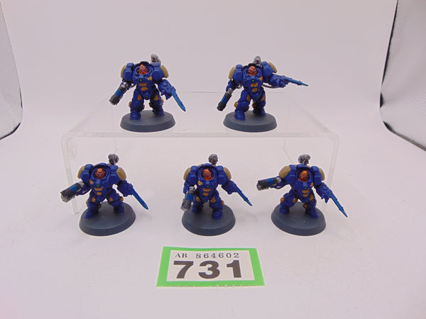 Einhyr Hearthguard