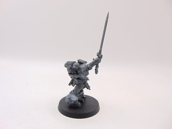 The Emperor's Champion