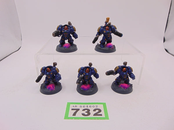 Einhyr Hearthguard