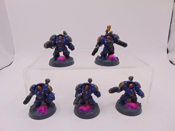 Einhyr Hearthguard