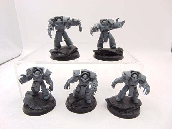 Cataphractii Terminator Squad