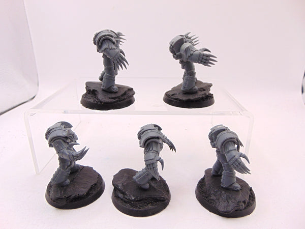 Cataphractii Terminator Squad