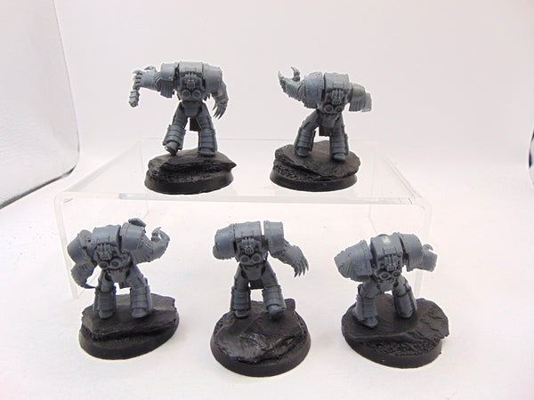 Cataphractii Terminator Squad