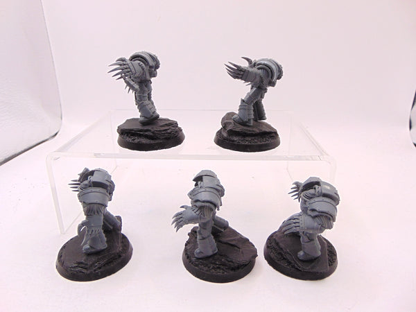 Cataphractii Terminator Squad