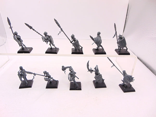 Skeleton Warriors