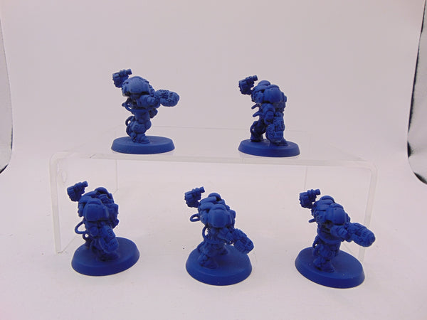 Einhyr Hearthguard