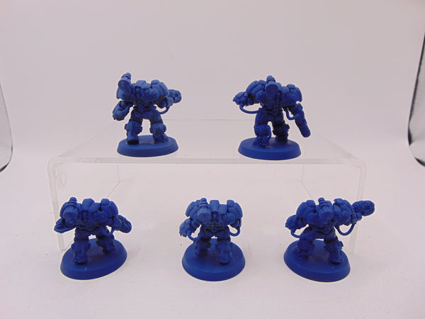 Einhyr Hearthguard