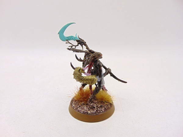 Branchwych