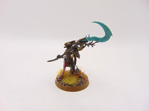 Branchwych