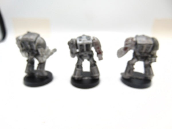 Terminator Assault Cannons