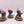 Bladeguard Veterans