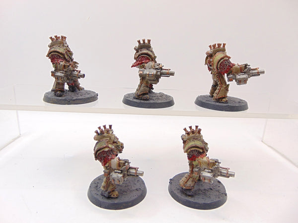 Grave Warden Terminator Squad