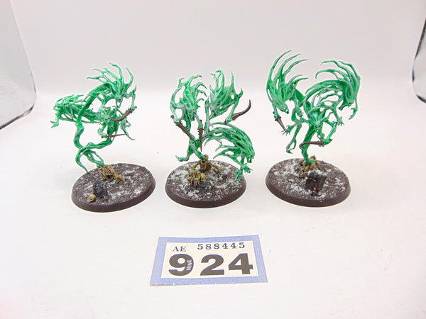 Spirit Hosts