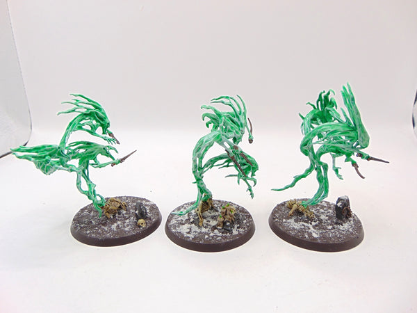Spirit Hosts
