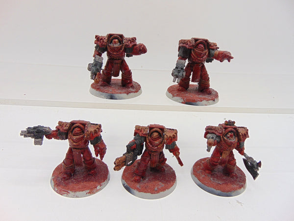 Cataphractii Terminator Squad