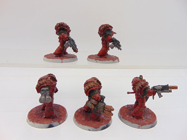 Cataphractii Terminator Squad