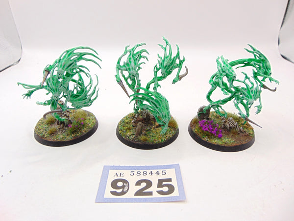 Spirit Hosts