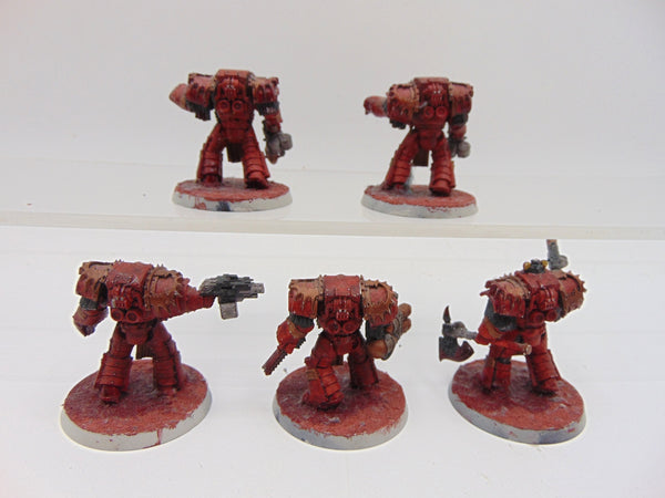 Cataphractii Terminator Squad