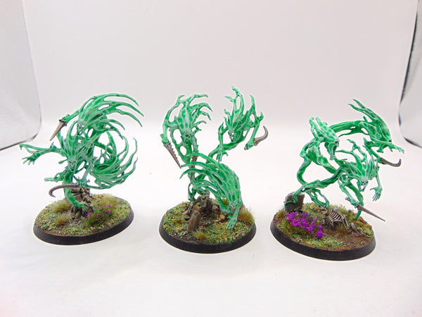 Spirit Hosts