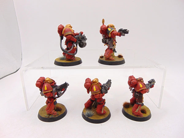 Sternguard Veterans