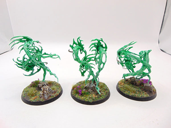 Spirit Hosts