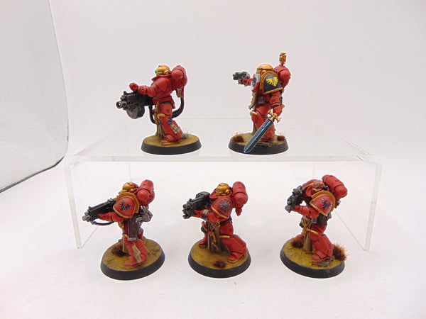 Sternguard Veterans