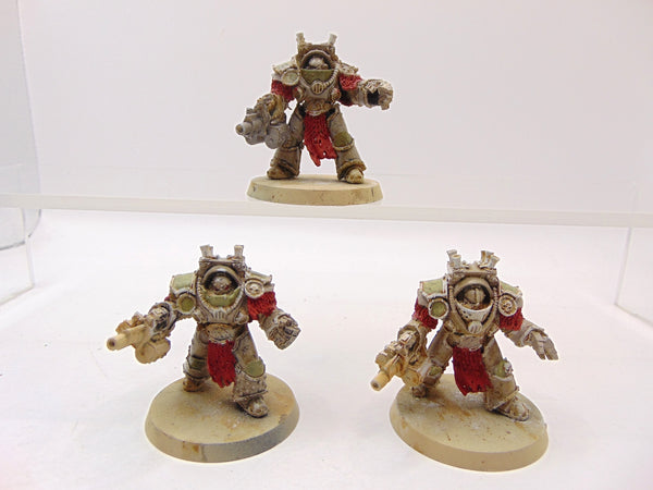 Grave Warden Terminator Squad