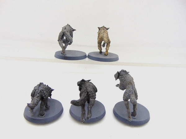 Fenrisian Wolves