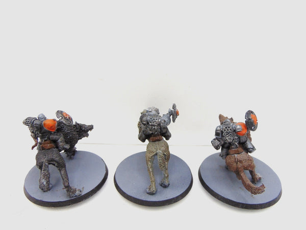 Thunderwolf Cavalry