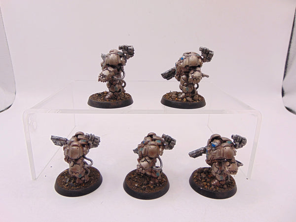 Einhyr Hearthguard