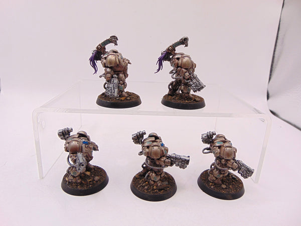 Einhyr Hearthguard