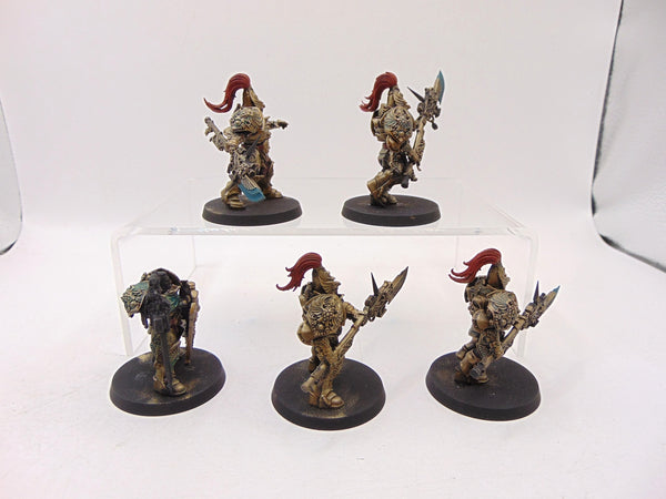 Custodian Guard