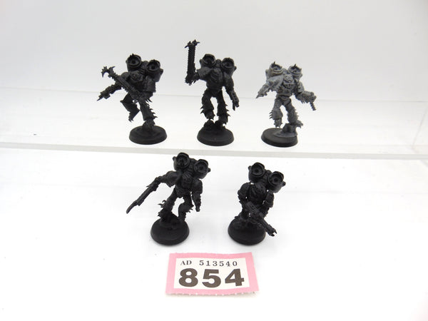 Raptors