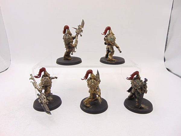 Custodian Guard
