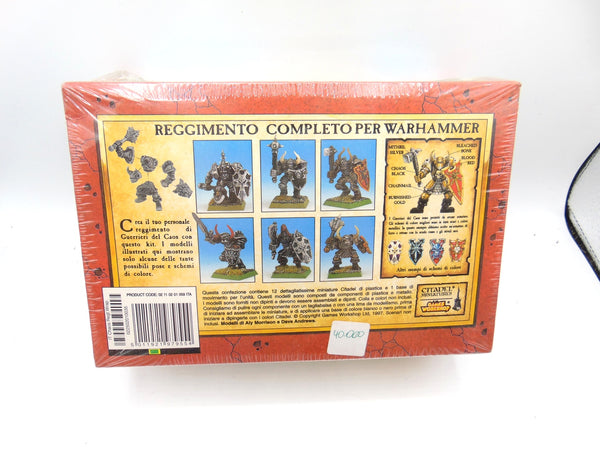 Chaos Warriors Regiment