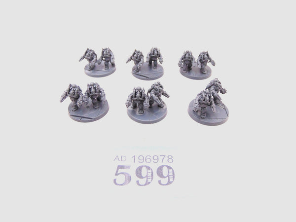 Legions Imperialis: Solar Auxilia Charonite Ogryns