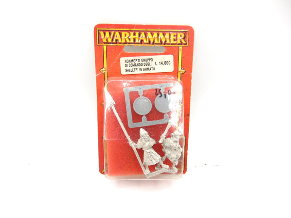 Armoured Skeletons Command Group