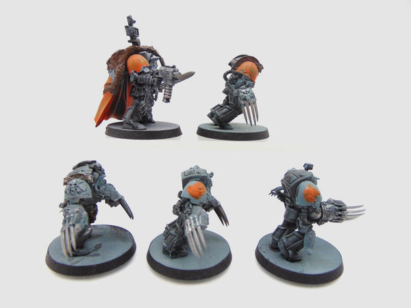 Wolf Guard Terminators