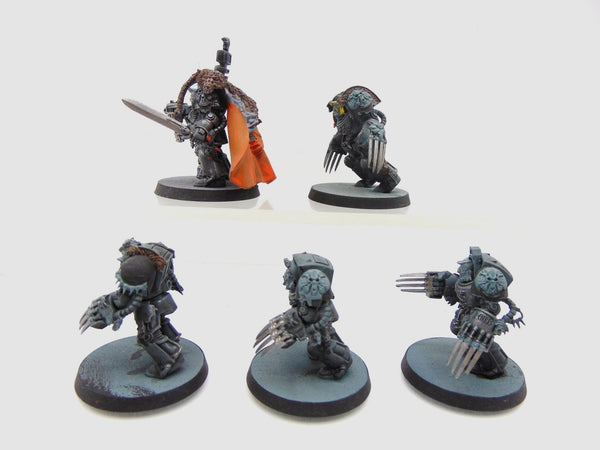 Wolf Guard Terminators