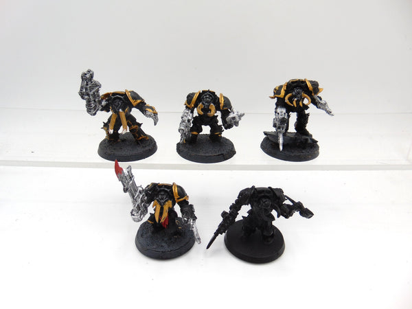 Chaos Terminators