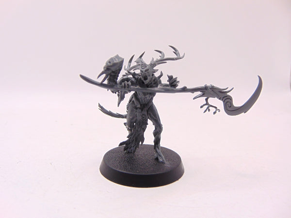 Branchwych