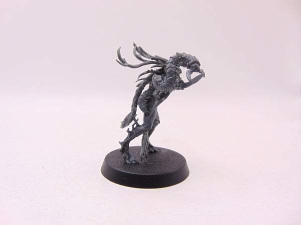 Branchwych
