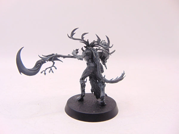 Branchwych
