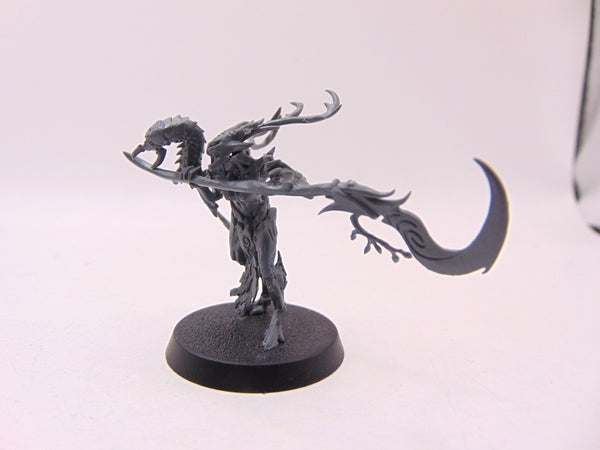 Branchwych