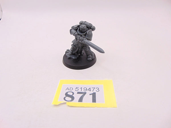 Primaris Company Champion