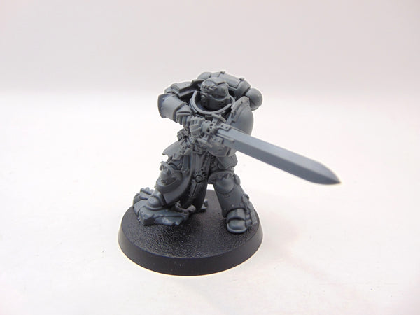 Primaris Company Champion