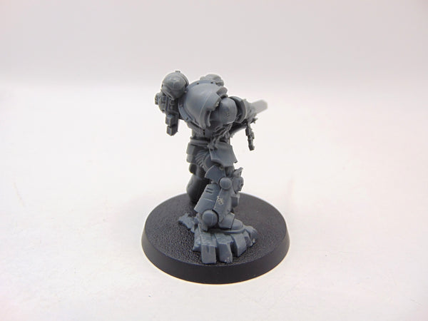 Primaris Company Champion